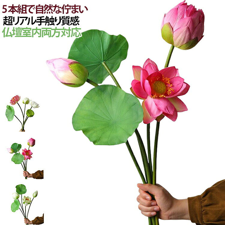 5本セット蓮ロータス上品本物そっく...