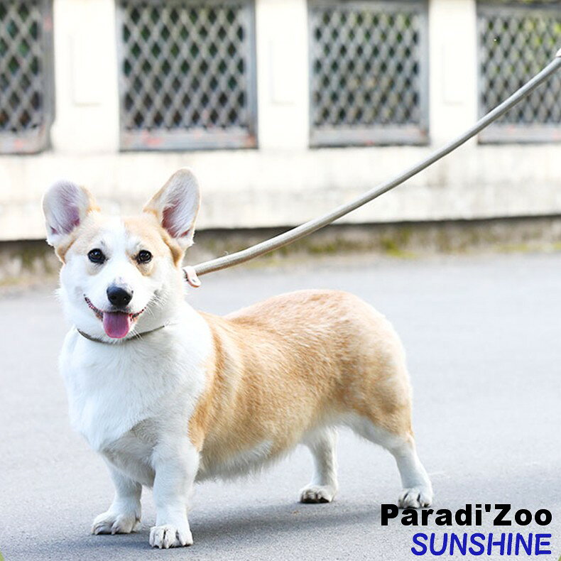 犬用 リード トレーニング スリップリード 中型犬 大型犬 柴犬 コーギー PUレザー ...
