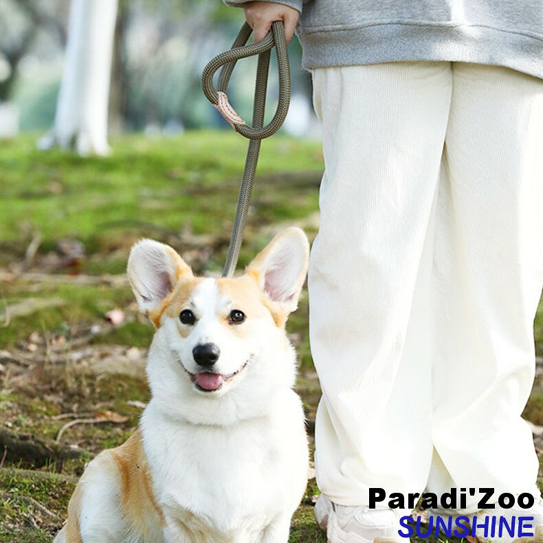犬用 リード トレーニング スリップリード 中型犬 大型犬 柴犬 コーギー PUレザー ...
