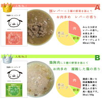 笑顔のトッピングよりどり3袋セット国産肉有機野菜水のみでつくる国産無添加水分多めの食いつき抜群良い香りのレトルトトッピング常温保存ビッグウッドbigwood犬用ドッグフードウエットウェットスープシチュー