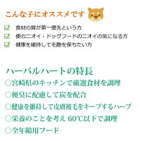 ビッグウッドハーバルハート<5kg/2.5kg×2>宮崎県で作られた国産ナチュラルドッグフードHerbalHeart