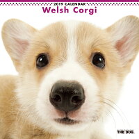 【送料無料】期間限定THEDOGカレンダー2016ウェルシュ・コーギー