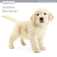 【カード決済メール便送料82円】期間限定THEDOGのアーリスト社製ミニカレンダー2016ゴールデン・レトリーバー