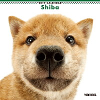 【送料無料】期間限定THEDOGカレンダー2016柴