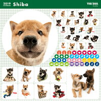 【送料無料】期間限定THEDOGカレンダー2016柴