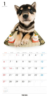 【送料無料】期間限定THEDOGカレンダー2016柴