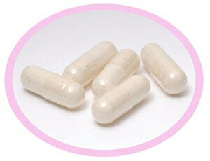 犬用酵素サプリメント 小型犬1か月分 ペットザイム 銀座ダックスダックス 基本のサプリ エンザイム