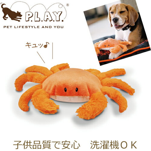 P.L.A.Y. TOY ★かに★　 かわいい犬用おもちゃ　Under the Sea（アンダー・ザ・シー） キングクラブ