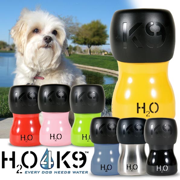 H2O4K9��(��280����)