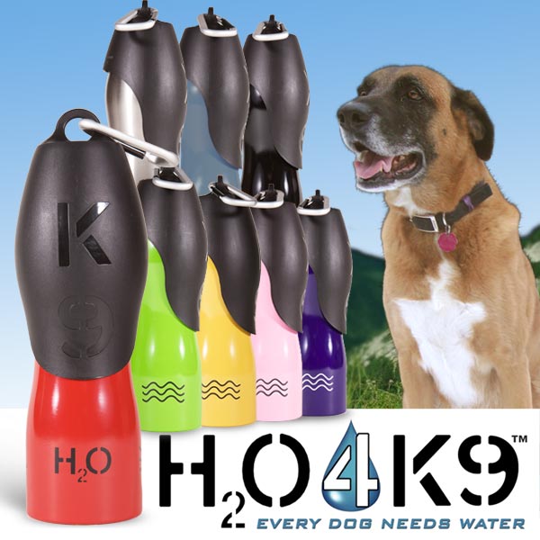 H2O4K9��(��280����)