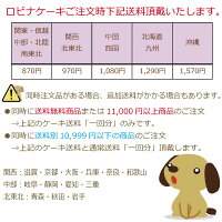 Lovina(ロビナ)ハートいっぱいケーキ【楽ギフ_名入れ】【犬ケーキ誕生日】