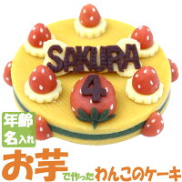 【送料無料送料込】Lovina(ロビナ)たっぷりいちごのまんまるケーキ【楽ギフ_名入れ】【犬ケーキ誕生日】