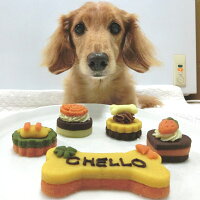 【送料無料送料込】Lovina(ロビナ)名いれプチケーキ5種セット【楽ギフ_名入れ】【犬ケーキ誕生日】