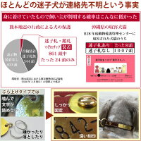 ハートメタルIDカラー【サイズ27】迷子時に希望を名前と連絡先(電話番号)のプレートを固定した国産本革犬用首輪迷子札や鑑札の紛失が心配な方に地震などの災害対策にBIRDIEバーディミニチュアダックスフンドトイプードルシュナウザー他