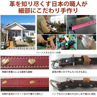 ジェントルIDカラー【サイズSS:16-23cm】迷子時に希望を名前と連絡先(電話番号)のプレートを固定した国産本革犬用首輪迷子札や鑑札の紛失が心配な方に地震などの災害対策にBIRDIEバーディミニチュアダックスフンドトイプードルシュナウザー他小型犬中型犬