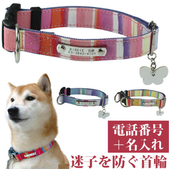 犬 首輪 迷子札 名入れ 名前入 犬用 BIRDIE マルチボーダーID カラー 【サイズM:28-40cm】 名前 連絡先 電話番号 の プレート を 固定 国産 地震 災害 対策 おしゃれ かわいい 洗濯可 バーディ 柴犬 ボーダーコリー コギー 中型犬 鑑札 紛失 心配 迷子 ナイロン