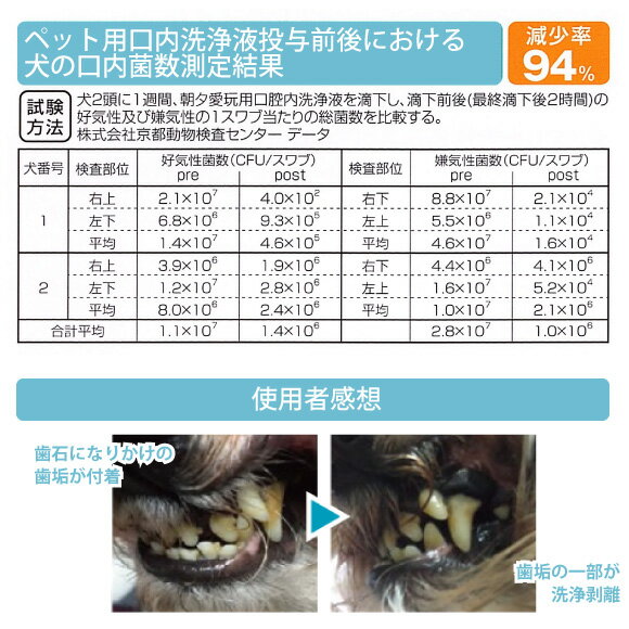 ナノウェルオーラルケア