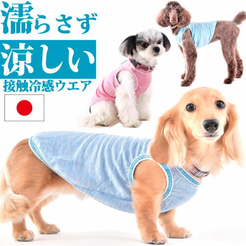 犬の夏服｜熱中症対策に！ひんやり接触冷感のペット用クールウェアは？