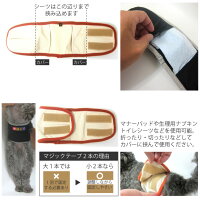 Mベルト【XS:胴回り27〜32cm】