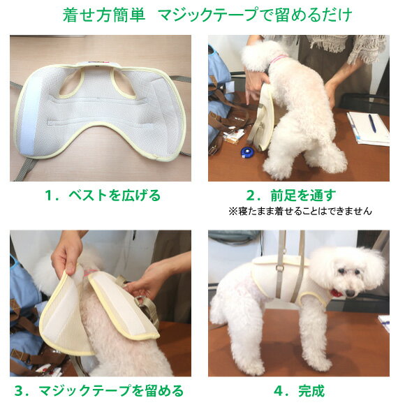 前足から腰までやさしく引き上げサポート 寝たきりを防ぐためには適度な運動も大切 軽くて洗濯機で洗える介護用ハーネス ミニチュアダックス シーズー シュナウザー キャバリア 他 メッシュアシストベスト Ss M 小型犬 中型犬 用 犬用 介護 ケア 歩行補助 ｗｈｃｙ 高齢犬