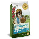 【キャンペーンクーポン有】リアルネイチャー レシピ ドッグフード【NO.3 オーシャンサーモン】 10kg