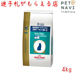 【迷子札プレゼント】[準療法食]ロイヤルカナン 猫用 ベッツプラン メールケア 4kg【ペットのおうち】
