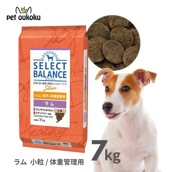 楽天pet oukoku premiumセレクトバランス スリム ラム 成犬の体重管理用 小粒 7kg SELECT BALANCE 成犬 低脂肪 低カロリー ダイエット 4541851006170