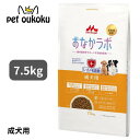 森乳サンワールド スーパーゴールド おなかラボ 成犬用 7.5kg ドッグフード 4978007005174