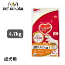 商品画像3