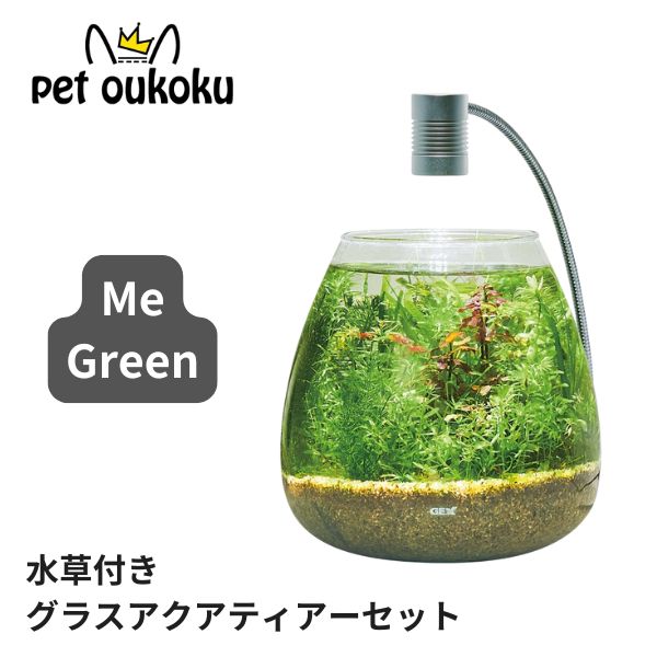 GEX MeGreen 新鮮な水草付き グラスアクアティアーセット 4972547043887 送料無料