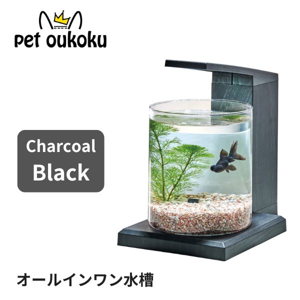 GEX グラスアクア PERCO C-Charcoal Black オールインワン水槽ペルコ 4972547045751