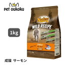 ニュートロ ワイルドレシピ アダルト サーモン 成猫用 1kg 4902397845799【送料無料】