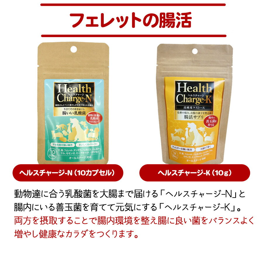 【セット商品】買ってよかった!組み合わせセット...の紹介画像2