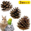 KAWAI パインコーン(3個入り)(T2)うさぎ チンチラ リス 小動物 小鳥 インコ かじり木 おもちゃ デンタルケア 松かさ 松ぼっくり(NK)【お取り寄...