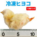 【冷凍】冷凍ヒヨコ 10羽パック(T2)【クール便発送】【常温商品との同梱不可】エサ 餌 フード 冷凍マウス 爬虫類 は虫類 猛禽類 冷凍餌 クール ヘビ フクロウ トカゲ ベルツノガエル 小型猿 アロワナ ひよこ ウズラ タカ ハヤブサ 鶏 鳥 チキン 小動物(NK)