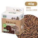 マルカン CASA ワイルドメニュー ミルワーム 40g(缶入り)(ピンセット付き)(T1)ハリネズミ モモンガ ハムスター リス 小動物 用品 エサ 餌 フー...