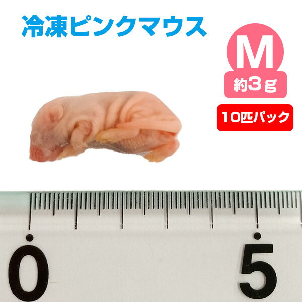  冷凍ピンクマウス Mサイズ（約3g）10匹パックエサ 餌 フード 冷凍マウス 爬虫類 は虫類 猛禽類 冷凍餌 クール ヘビ フクロウ マウス ねずみ ネズミ 小動物（NK）