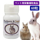 うさぎの瞳にブルーベリー&ルテイン うさぎ ウサギ 小動物 健康維持 サプリメント 栄養補助食品 健康補助食品 目やに改善 眼精疲労(NK)