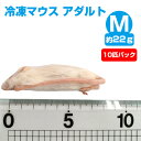 【冷凍】 冷凍マウス アダルトMサイズ(約22g)10匹パック(T2)【クール便発送】【常温商品との同梱不可】エサ 餌 フード 冷凍マウス 爬虫類 は虫類 猛禽...