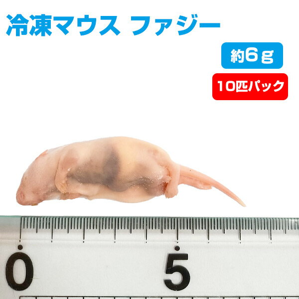  冷凍マウス ファジー（約6g）10匹パックエサ 餌 フード 冷凍マウス 爬虫類 は虫類 猛禽類 冷凍餌 クール ヘビ フクロウ マウス ねずみ ネズミ 小動物（NK）