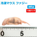 【冷凍】 冷凍マウス ファジー（約6g）10匹パック【クール便発送】【常温商品との同梱不可】エサ 餌 フード 冷凍マウス 爬虫類 は虫類 猛禽類 冷凍餌 クール ヘビ フクロウ マウス ねずみ ネズミ 小動物（NK）