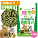 三晃商会 腸活アシスト 400g (T1)うさぎ モルモット デグー チンチラ 小動物 牧草 ペレット 補助食 フード 餌 エサ 草食動物(NK)【お取り寄せ】