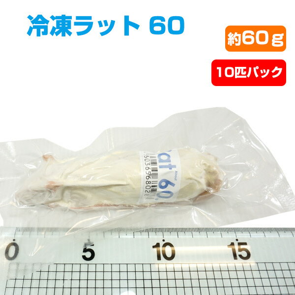 【冷凍】冷凍ラット 60 約60g 10匹パック【クール便発送】【常温商品との同梱不可】エサ 餌 フード 冷凍マウス 爬虫類 は虫類 猛禽類 冷凍餌 クール ヘビ フクロウ マウス ねずみ ネズミ 小動…