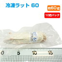 【冷凍】冷凍ラット 60(約60g)10匹パック(T2)【クール便発送】【常温商品との同梱不可】エサ 餌 フード 冷凍マウス 爬虫類 は虫類 猛禽類 冷凍餌 ク...