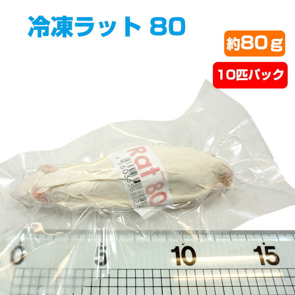 【冷凍】冷凍ラット 80 約80g 10匹パック【クール便発送】【常温商品との同梱不可】エサ 餌 フード 冷凍マウス 爬虫類 は虫類 猛禽類 冷凍餌 クール ヘビ フクロウ マウス ねずみ ネズミ 小動…