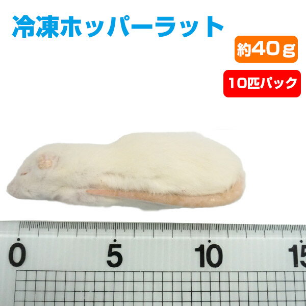 【冷凍】冷凍ホッパーラット 40（約40g）10匹パック【クール便発送】【常温商品との同梱不可】エサ 餌 フード 冷凍マウス 爬虫類 は虫類 猛禽類 冷凍餌 クール ヘビ フクロウ マウス ねずみ ネズミ 小動物（NK）