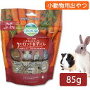 OXBOW ヘルシートリーツ キャロット&ディル 85g(T2) うさぎ チンチラ モルモット デグー 小動物 スモールアニマル おやつ スナック エサ (NK...