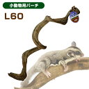 三晃商会 スパイラルパーチ L60(T1)リス フクロモモンガ 小鳥 小動物 止まり木(NK)【お取り寄せ】
