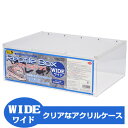 三晃商会 Repti wild レプタイルボックス WIDE(ワイド)(T1)爬虫類 両生類 昆虫 飼育ケージ ハウス ケース(NK)【お取り寄せ】