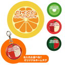 【受注生産】【FWF】選べる!!オリジナル★デザインネームタグ フルーツ【迷子札】【ネームプレート】 フェレット ネームタグ IDタグ 名入れ 名前入り ペット 迷子防止 オリジナル ドッグタグ【メール便可】(4)